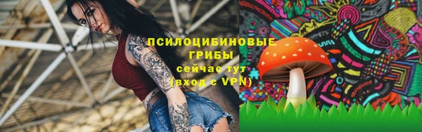 ешки Алзамай