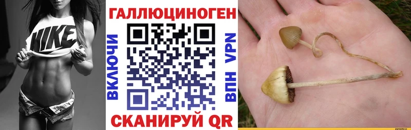 Псилоцибиновые грибы Psilocybine cubensis даркнет сайт Хотьково